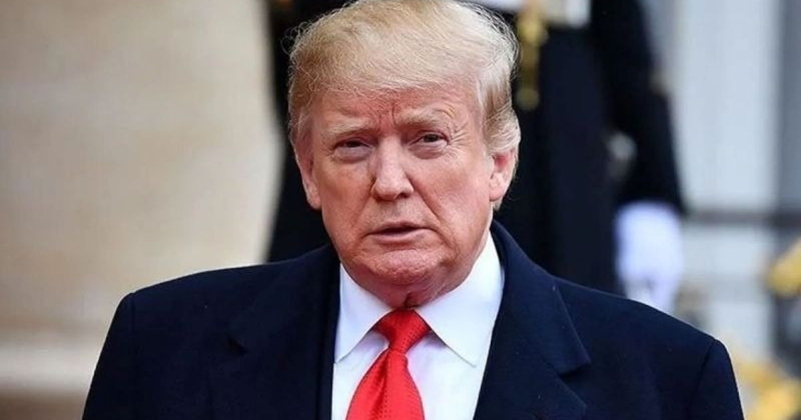trump-amerika-punya-cukup-pohon-tapi-krisis-perumahan-masih-butuh-kayu-kanada